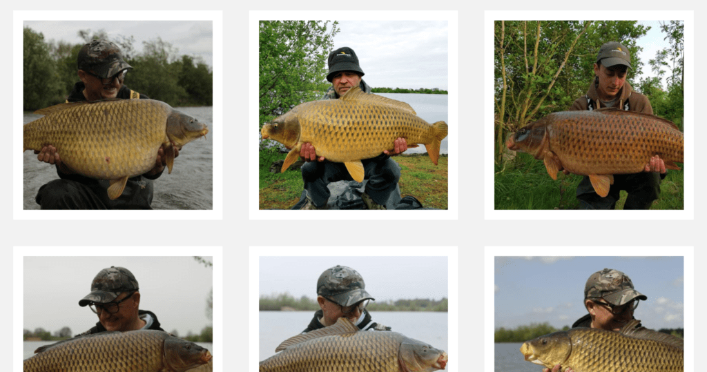fish images